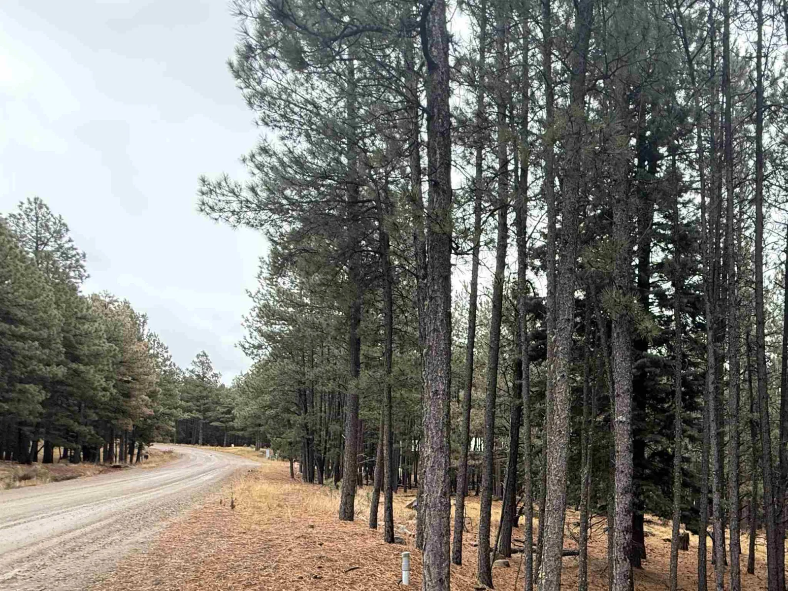 Lot 75 San Juan Dr