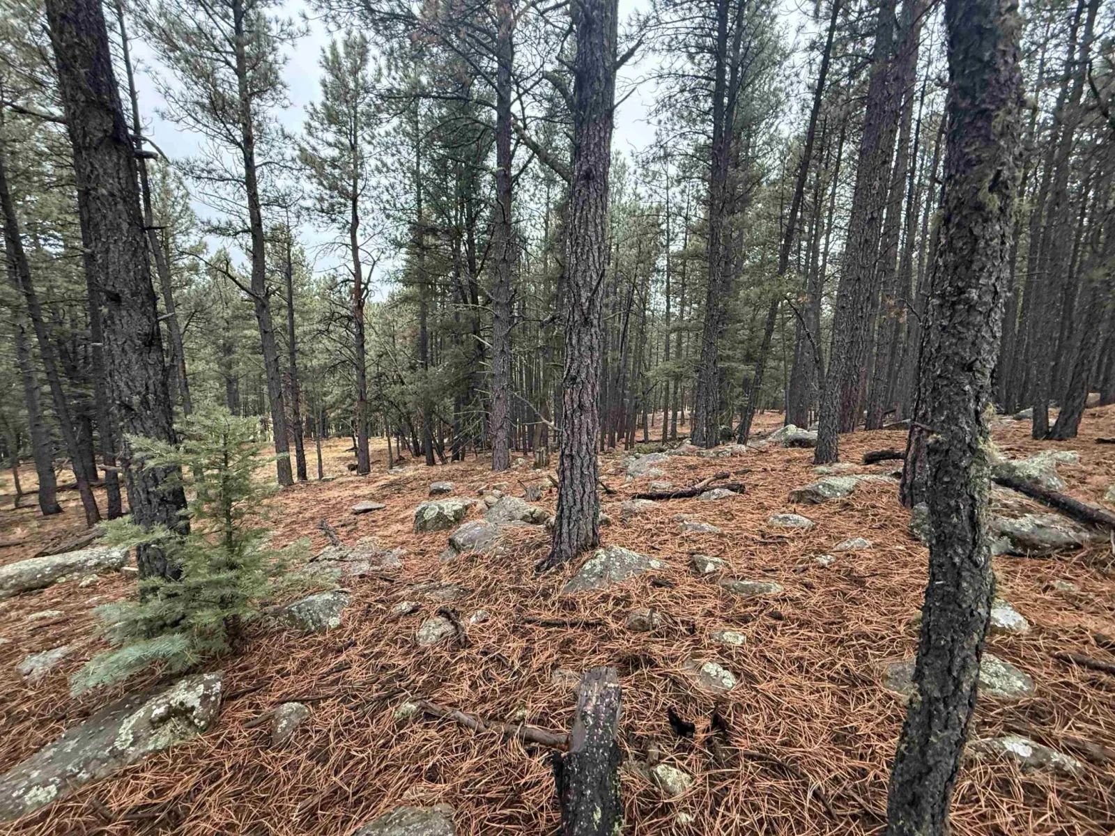 Lot 80 San Juan Dr