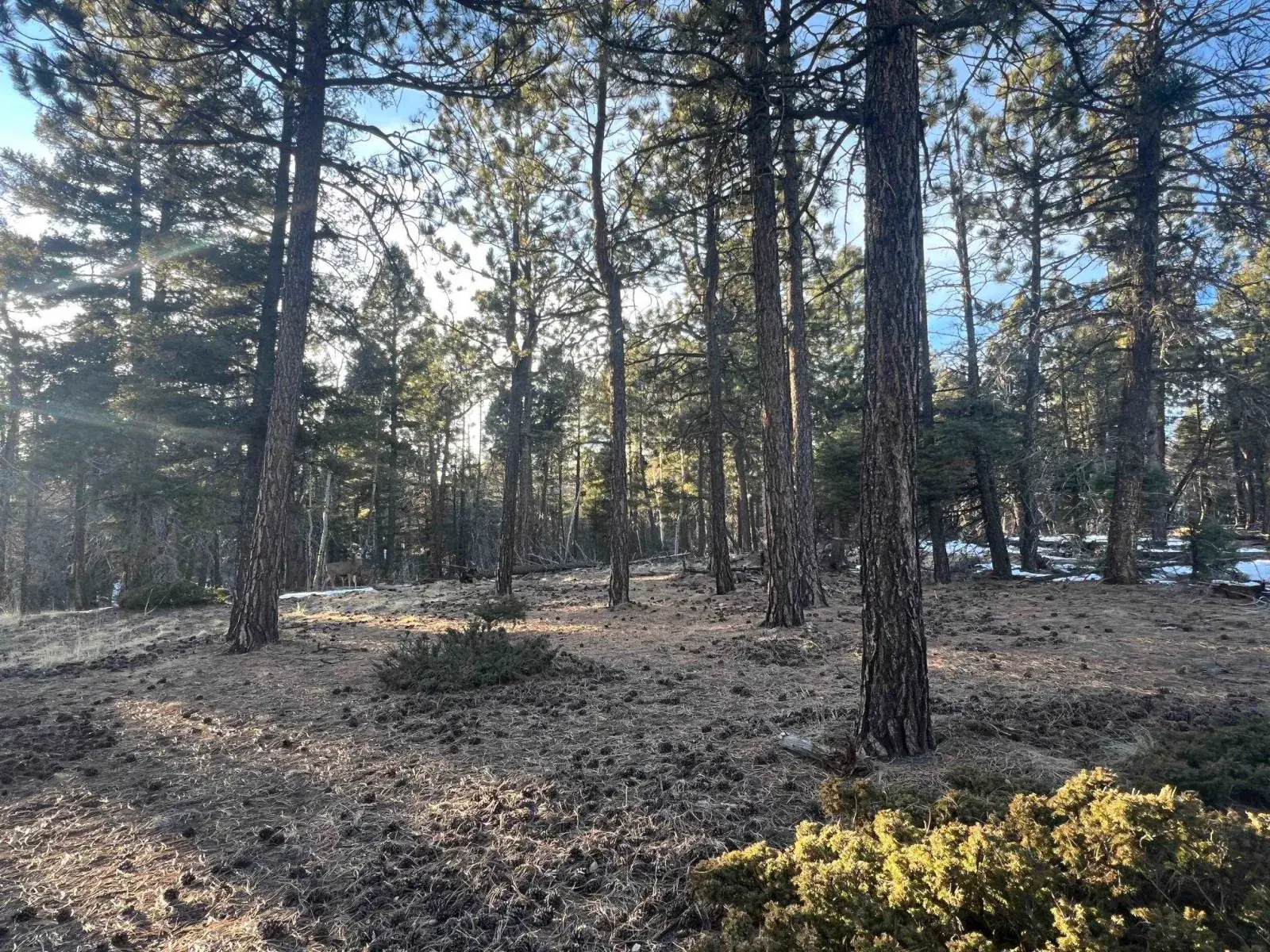 lot 352 Vail Loop