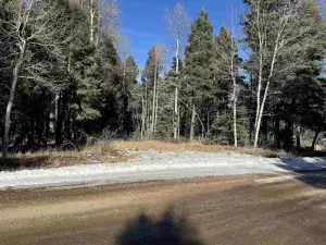 Lot 363 Vail Loop