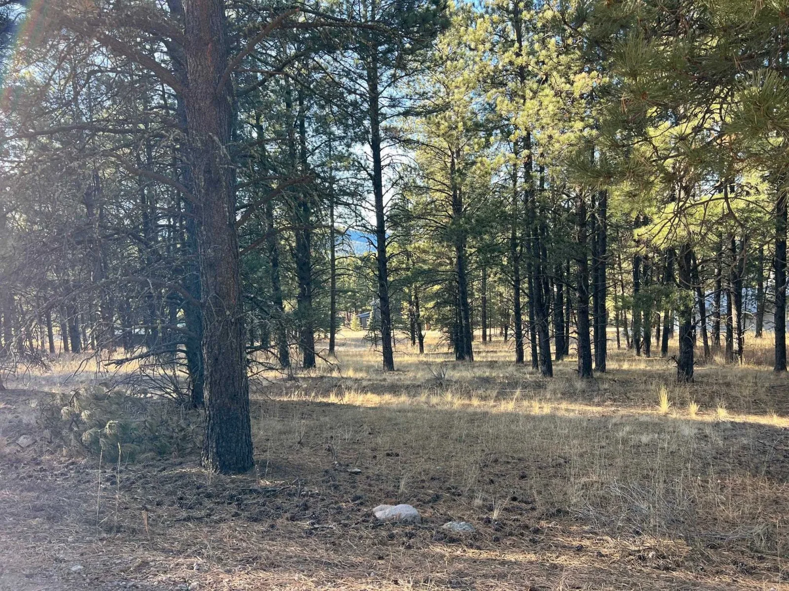 lot 14 Jackson Hole