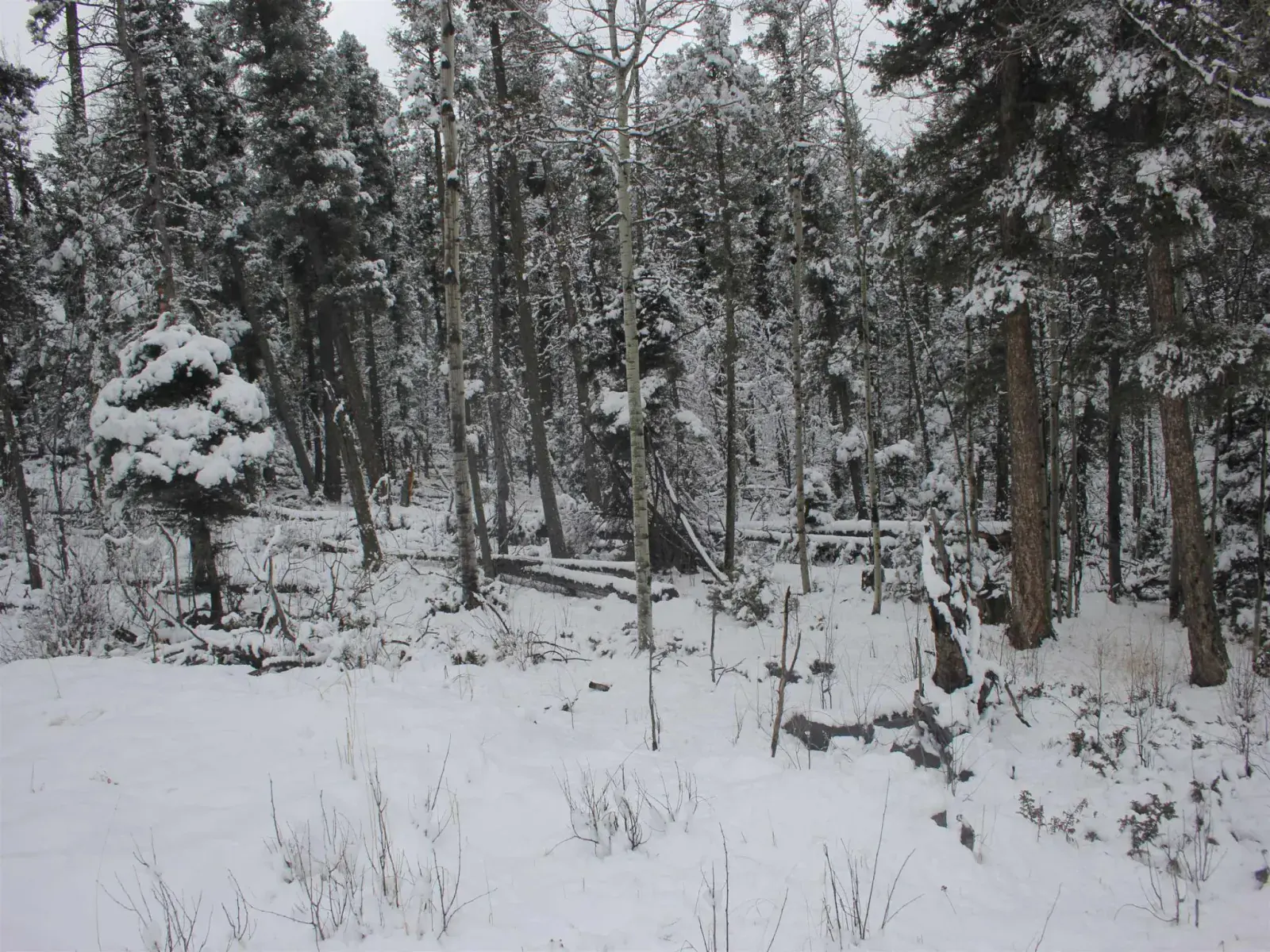 lot 684 El Camino Real