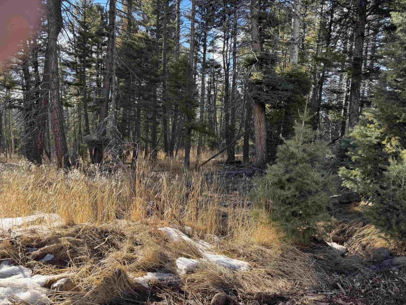lot 1367 Skyview Way