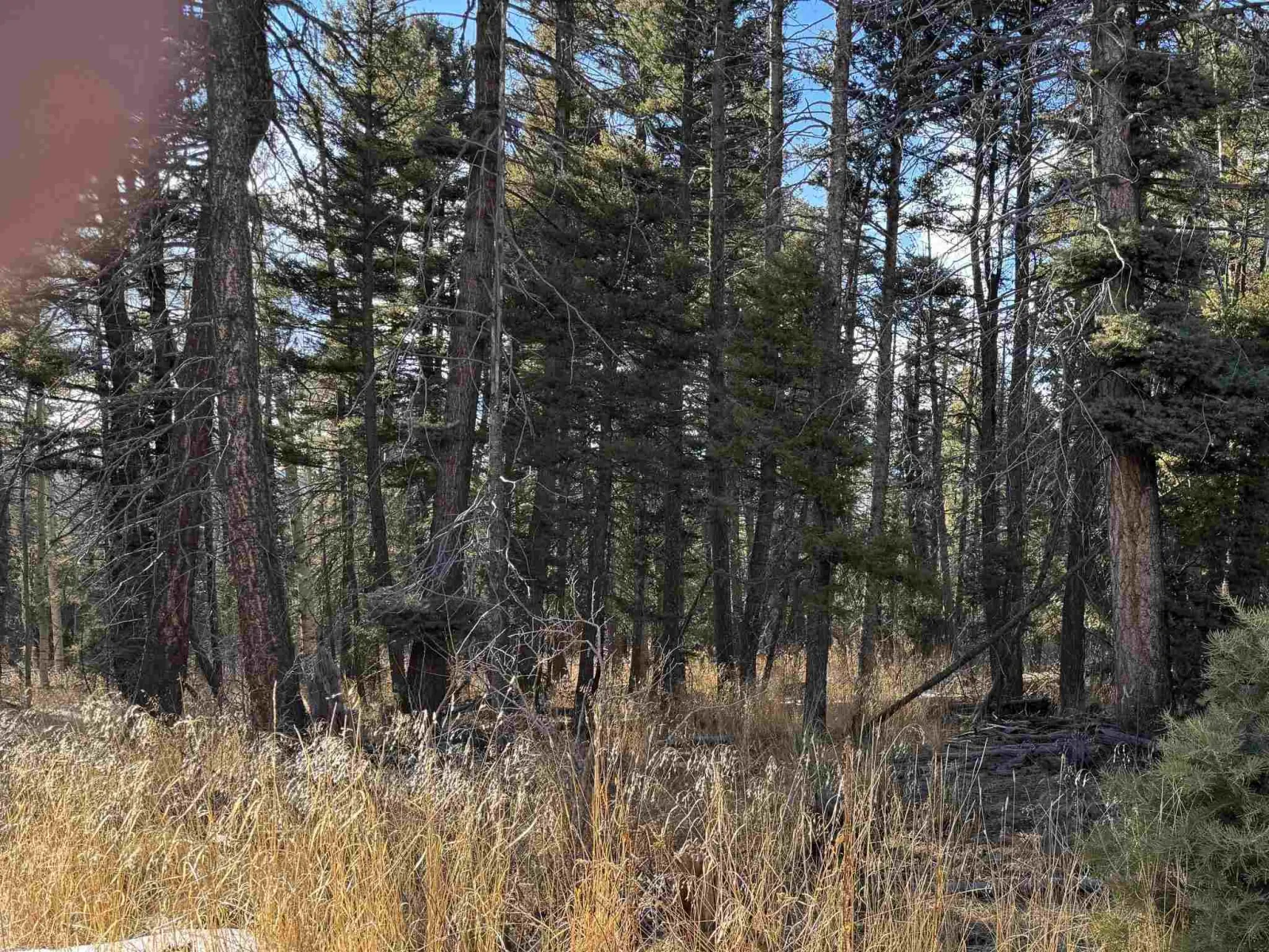 lot 1367 Skyview Way