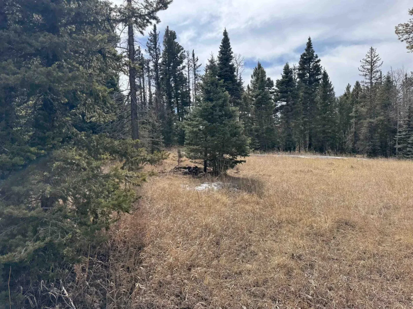 Lot 83 Elk Meadow