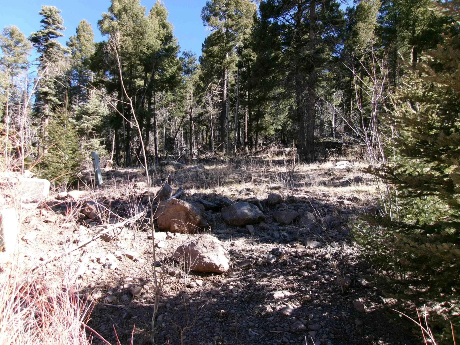1119 El Camino Real Lot 1119 NM