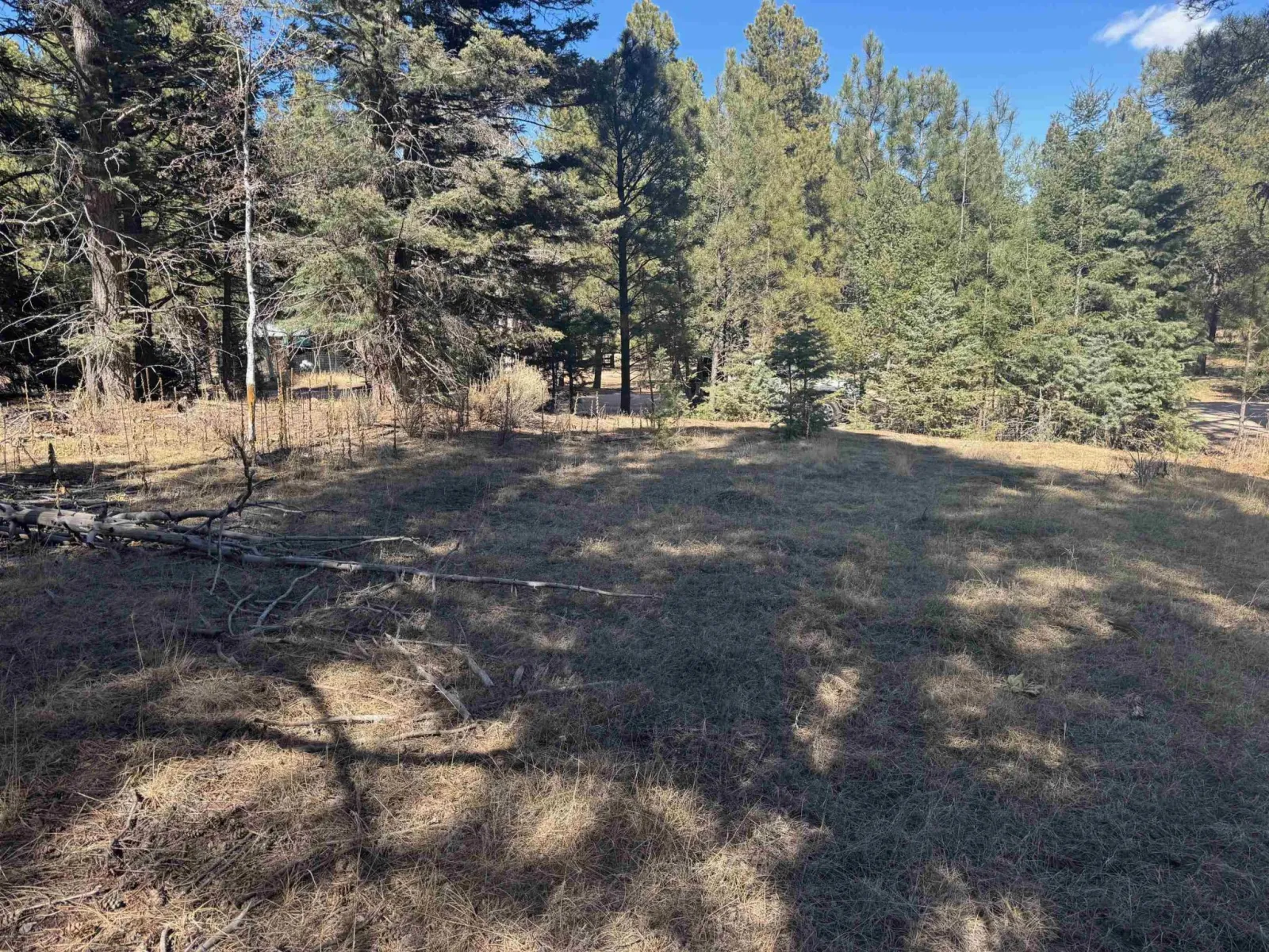 Lot 1031 Armijo