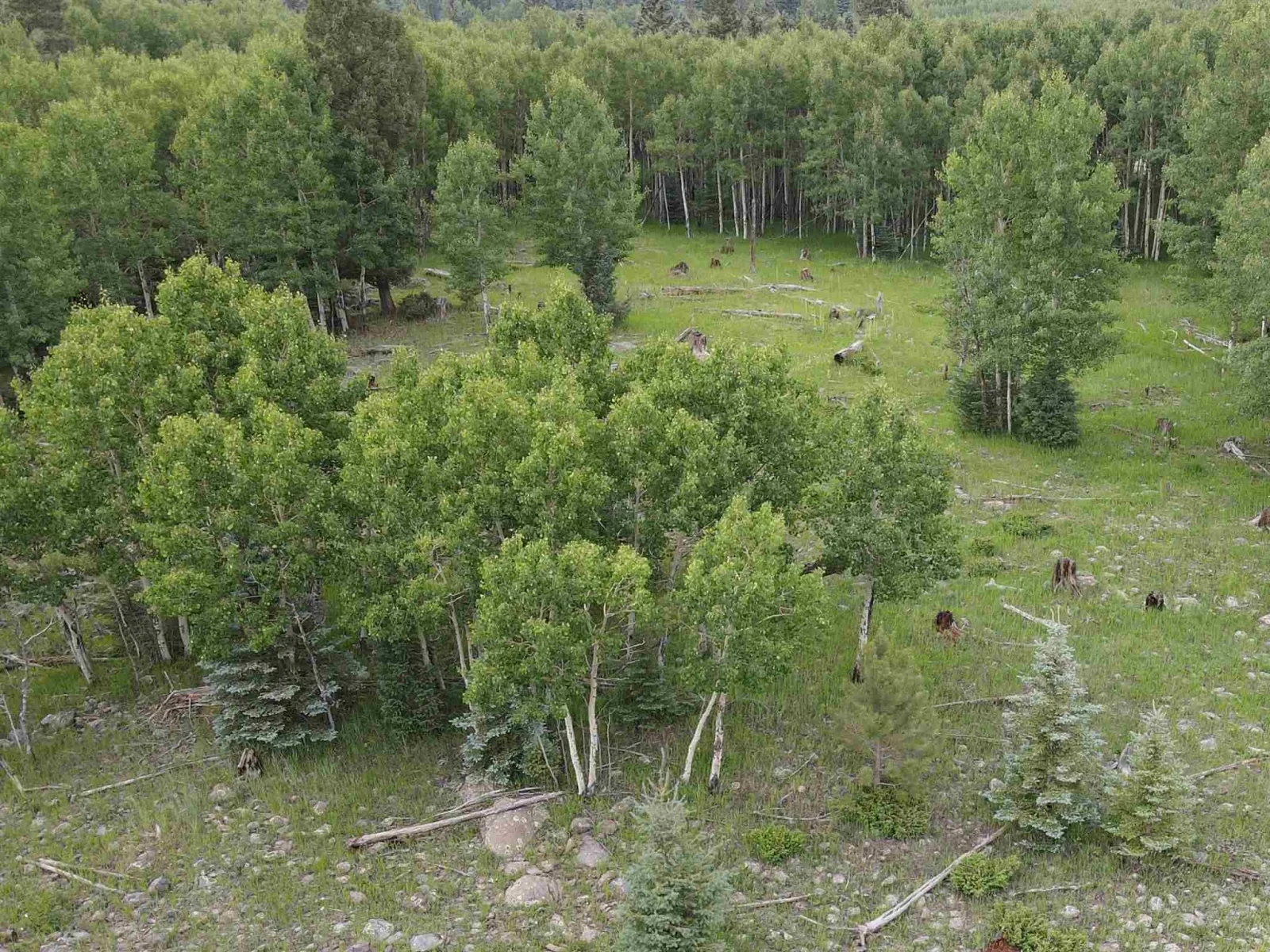 Lot 181 El Camino Real