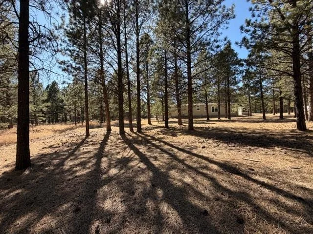 8 Pine Top Ln
