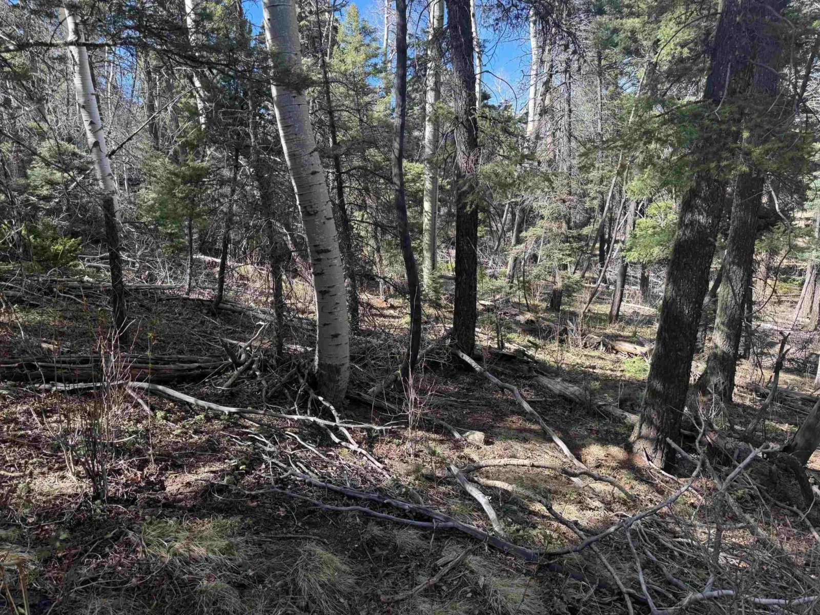 Lot 45 Back Basin Rd