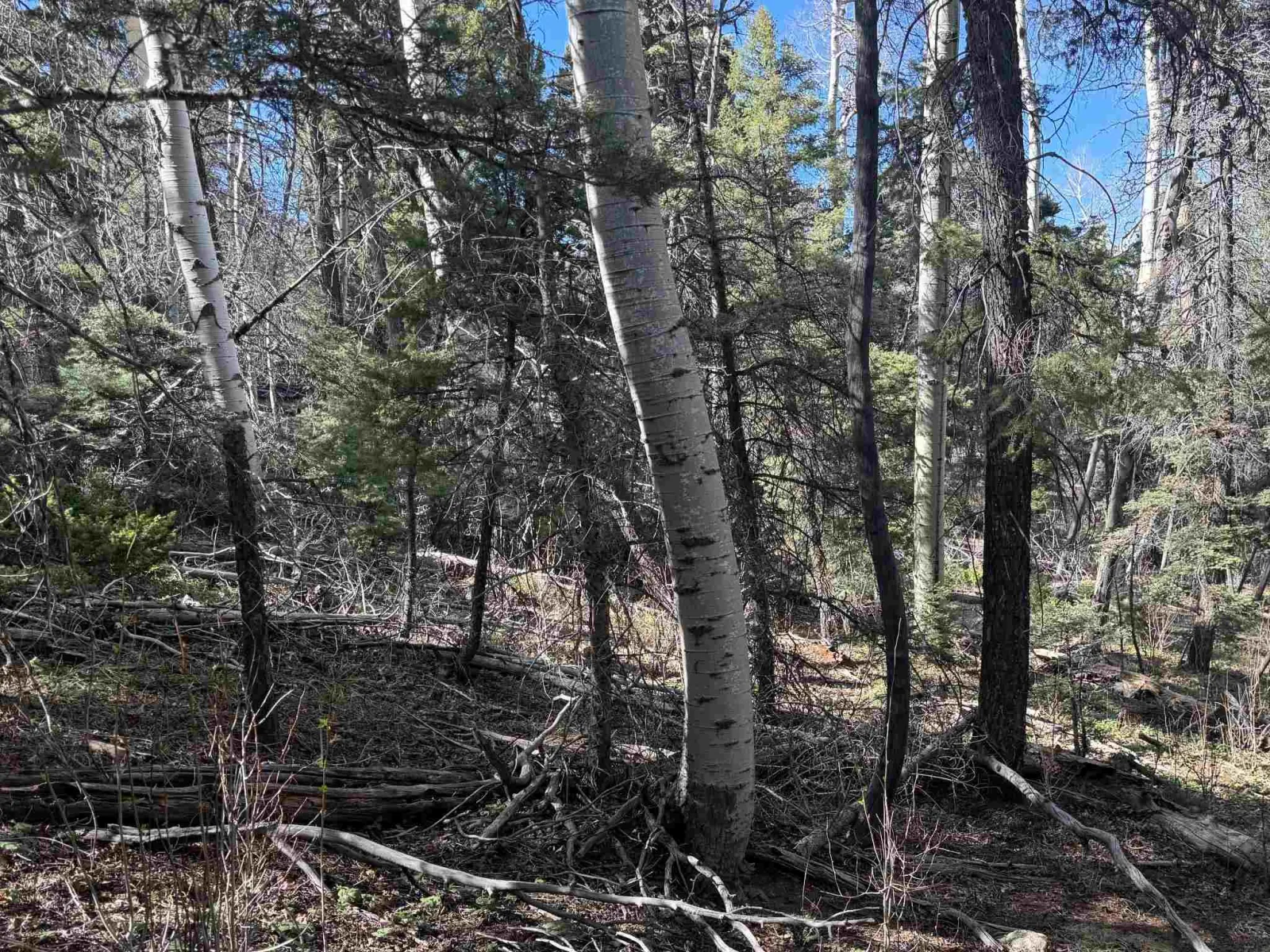 Lot 45 Back Basin Rd
