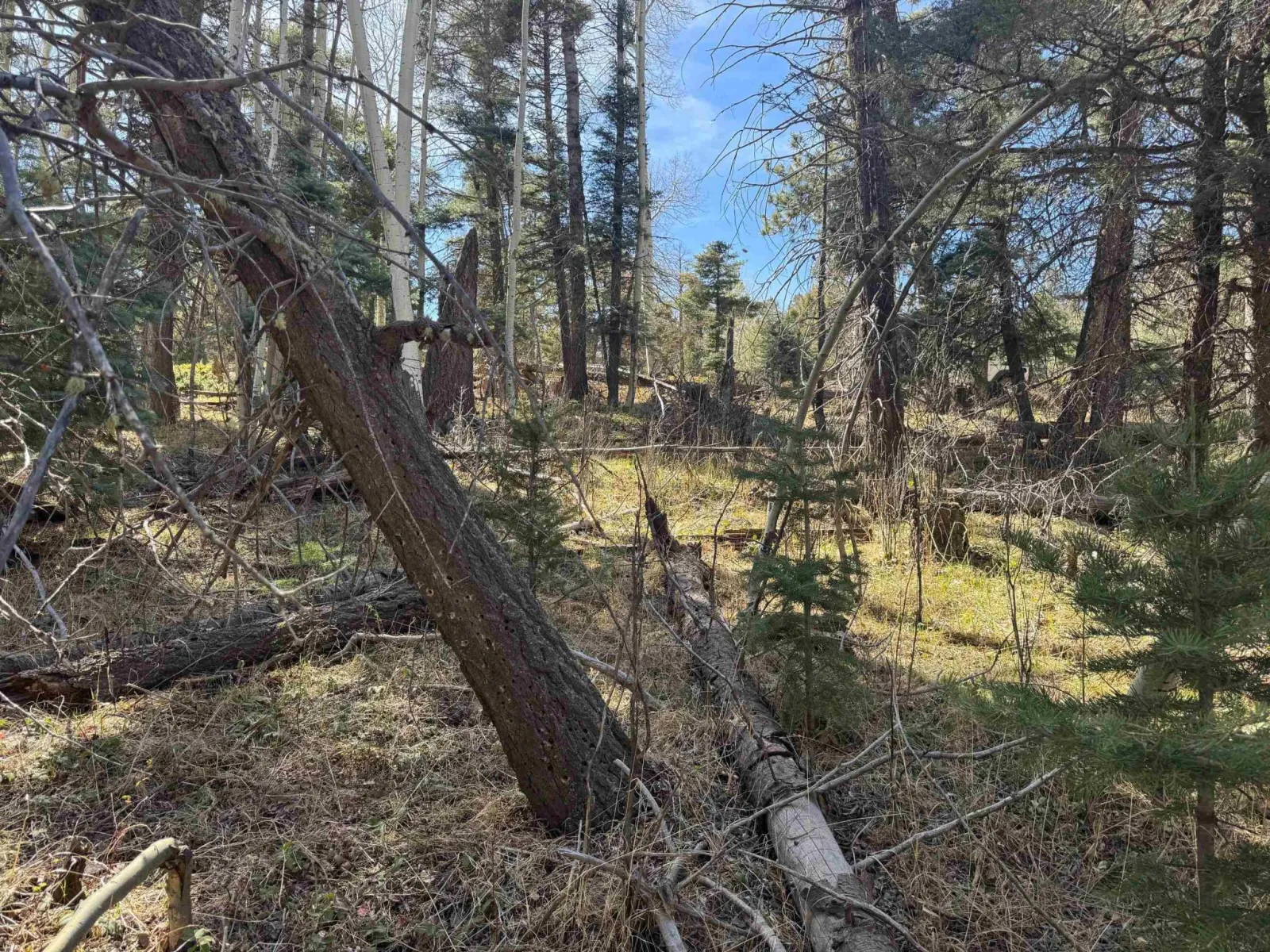 Lot 272 Vail Loop