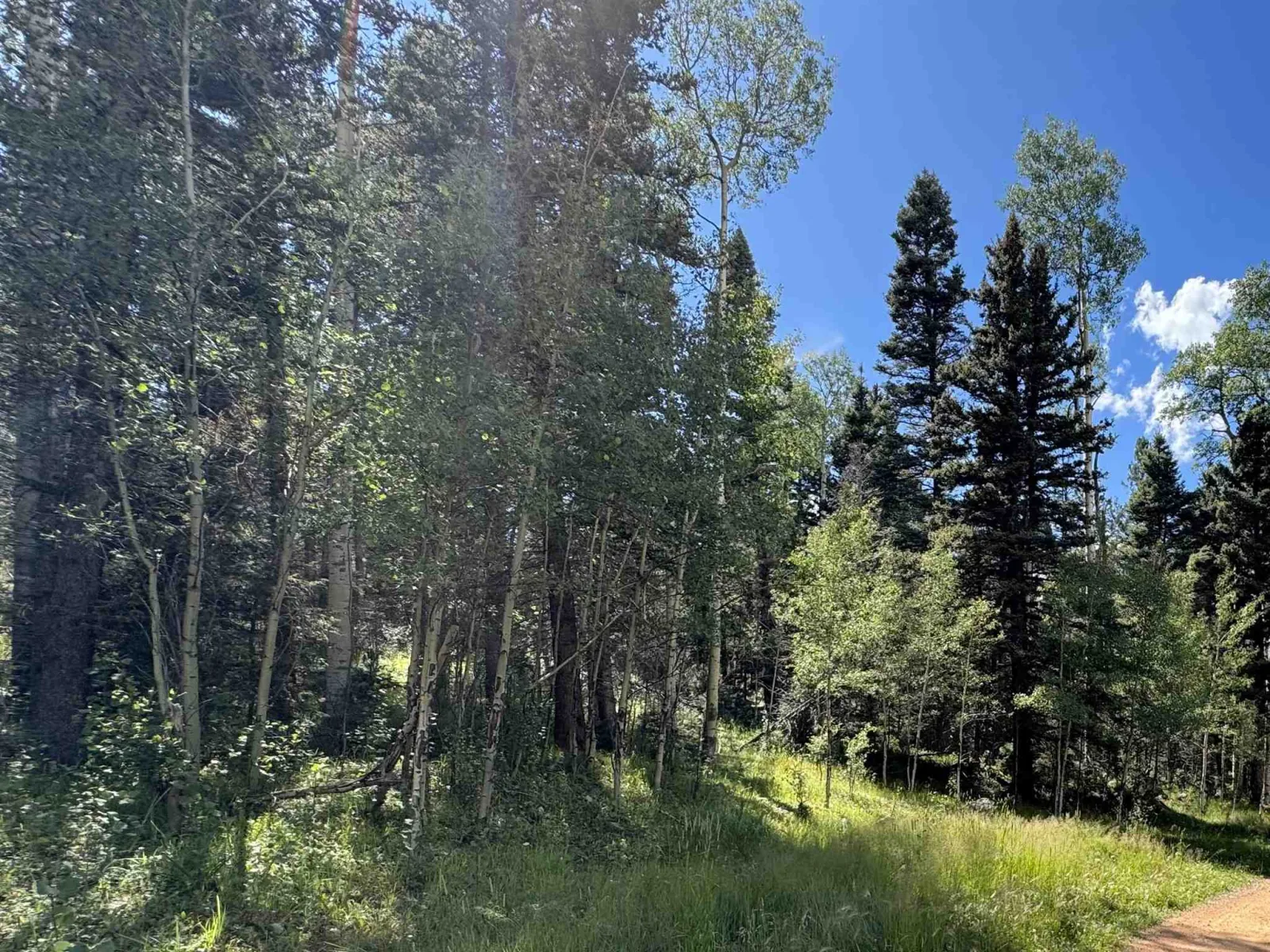 Lot 23 Elk Ridge Road