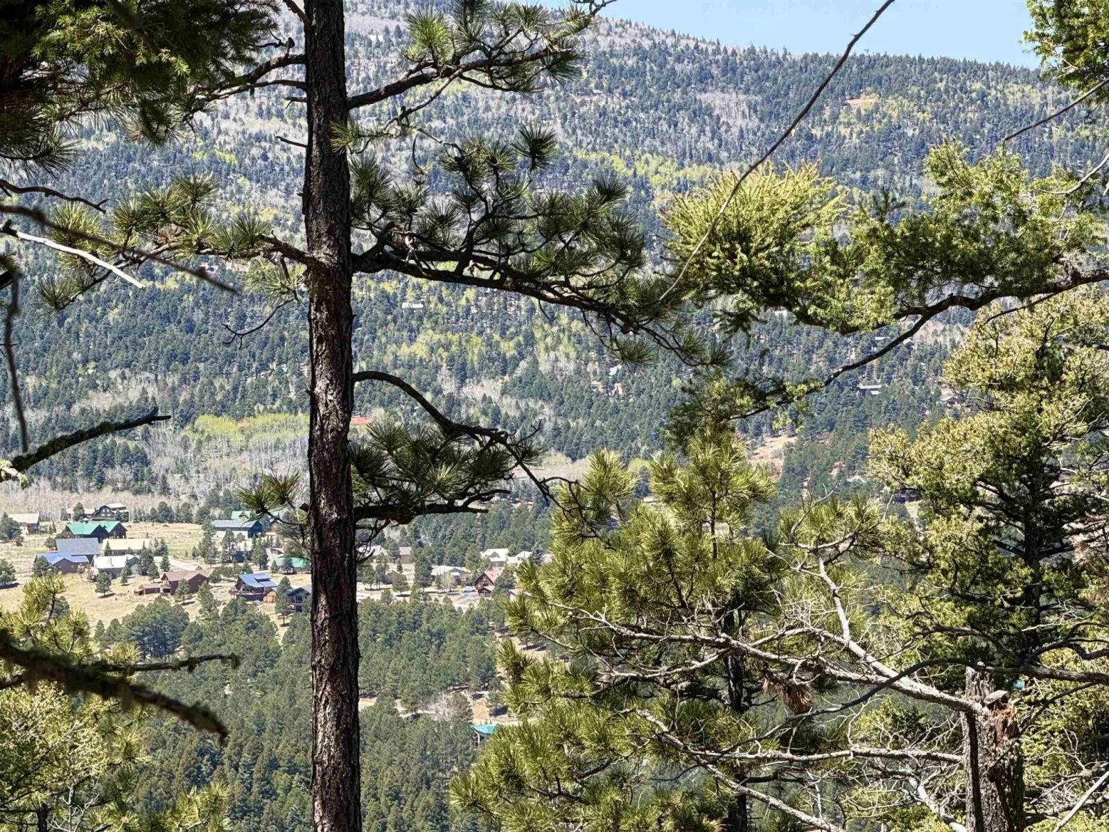 Lot 395 Vail Loop