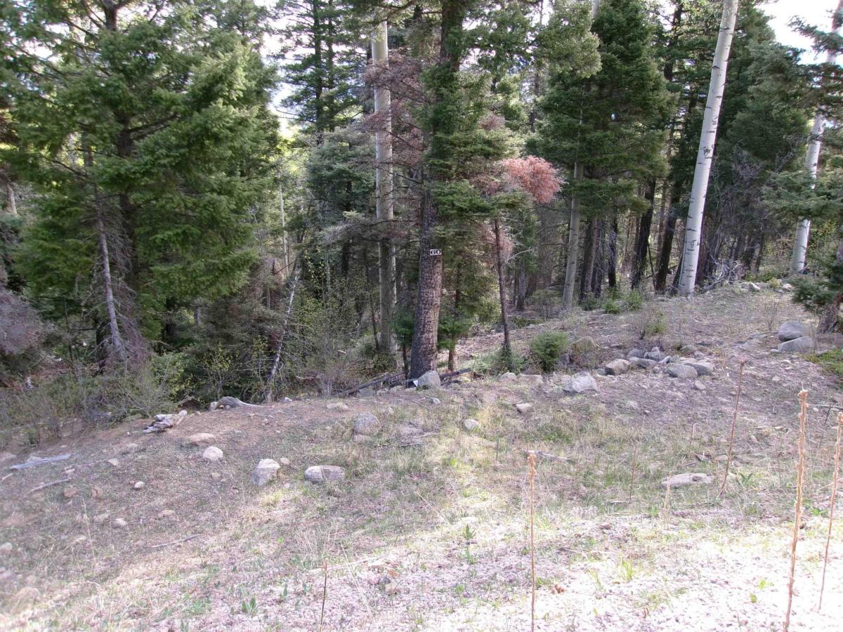 MLS #114969 image #0