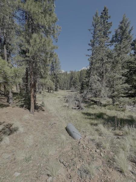 MLS #114992 image #0