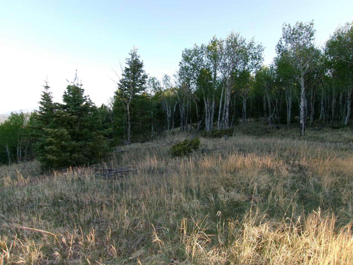 MLS #114995 image #0
