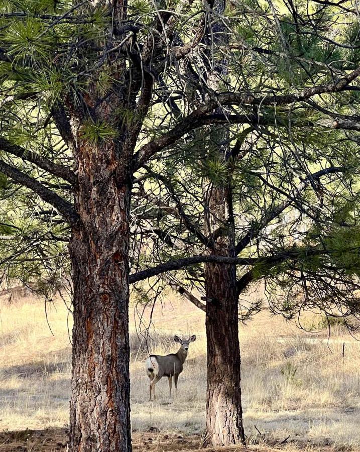 MLS #115002 image #0