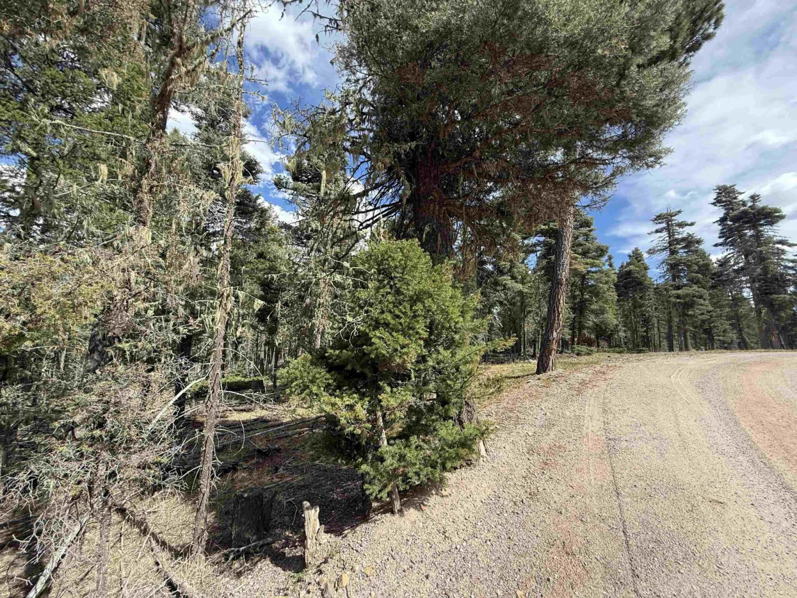 Lot 28 Calle de los Indios