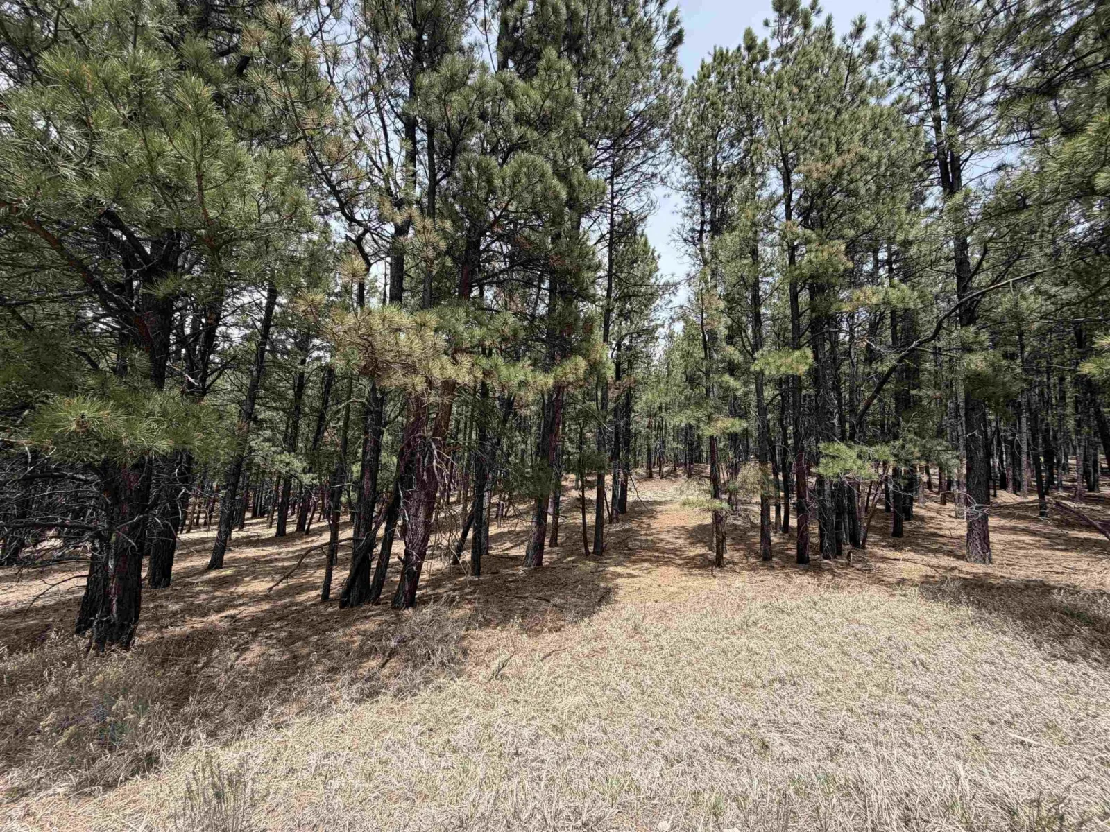 Lot 22 Valley Rd