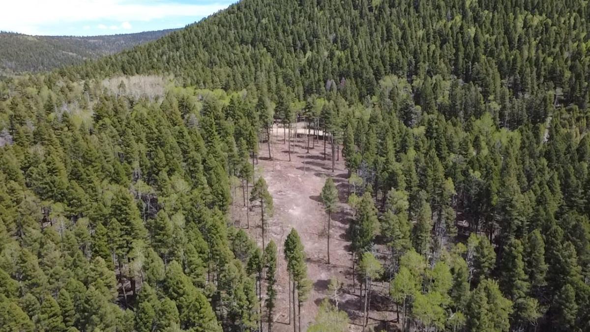 Lot 14 Back Basin Rd