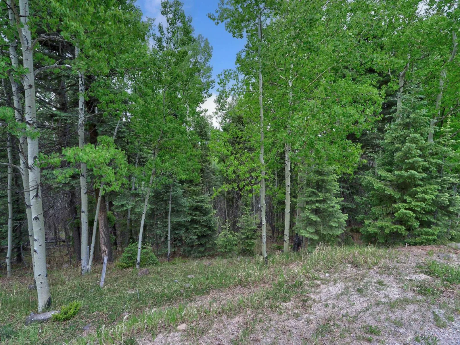 Lot 453 El Camino Real