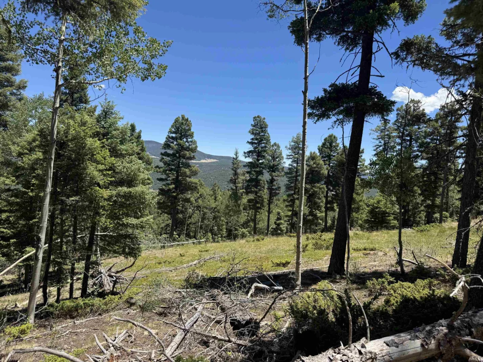 Lot 106 Zia Rd