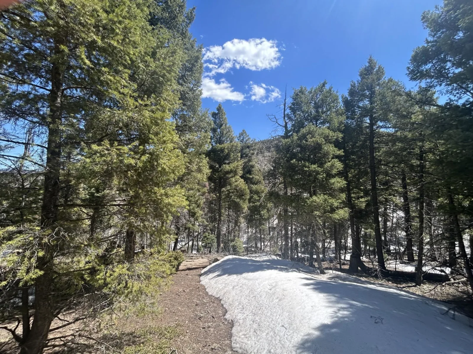 Lot 369 Vail Loop