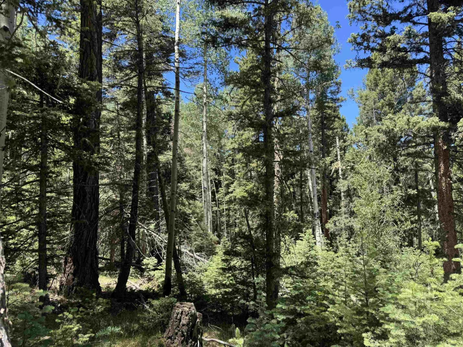 Lot 374A Vail Loop