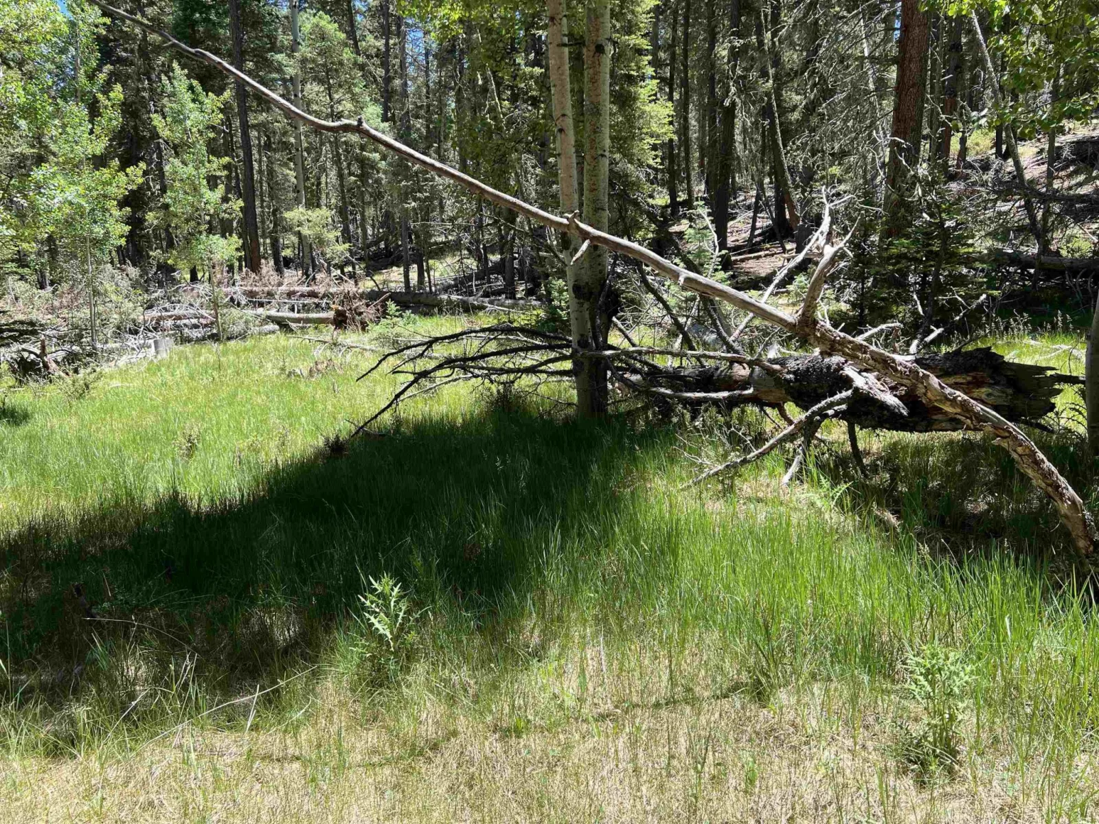 TBD Alpine Lake Way Lot 3 Blk E