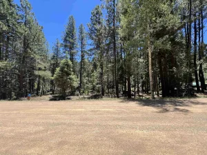 TBD Alpine Lake Way Lot 3 Blk E