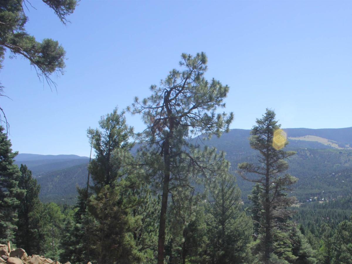 MLS #115348 image #0