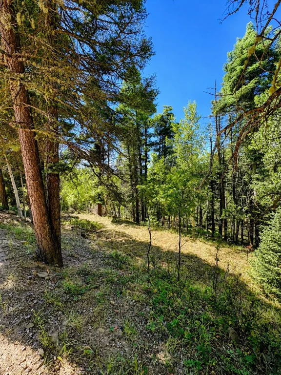 Lot 190 Taos Dr
