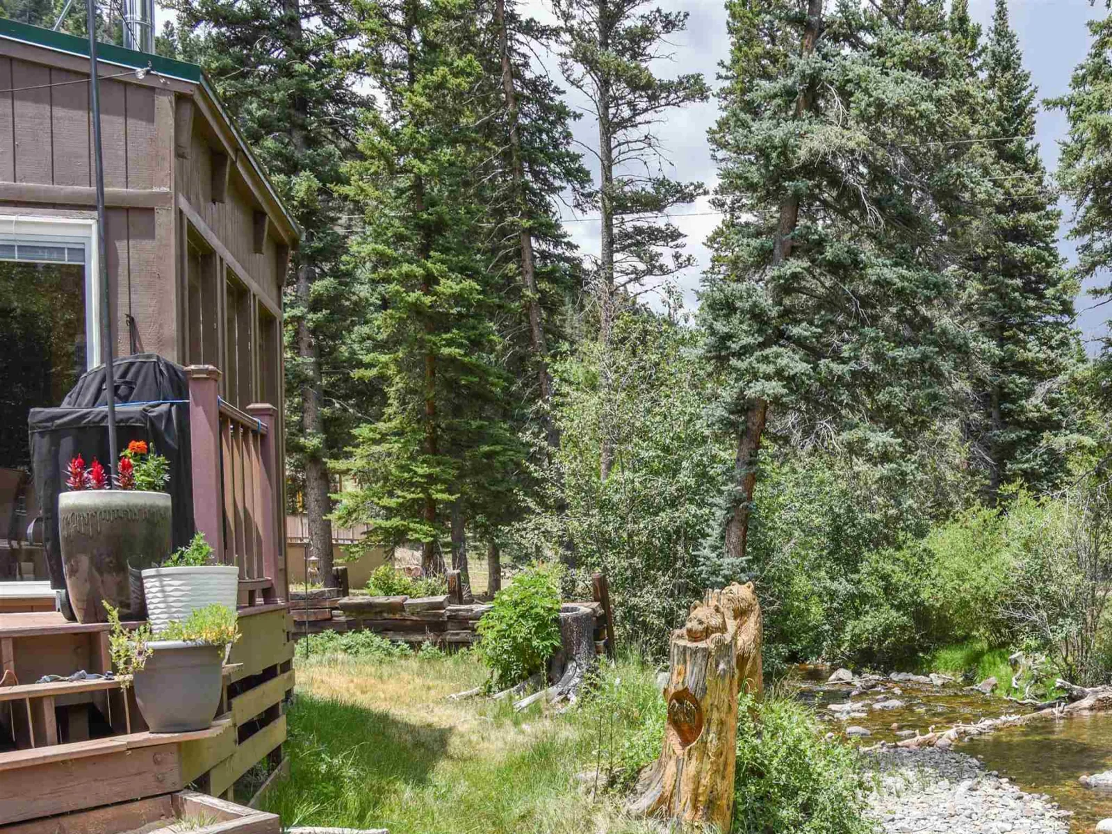 61 Valley of the Pines