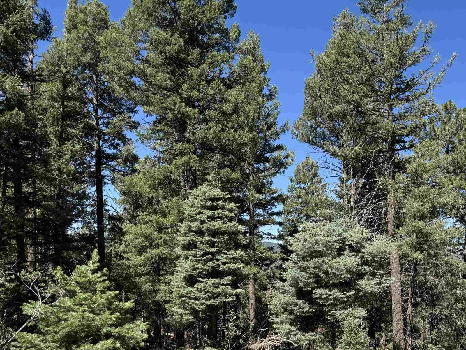 Lot 655 Panorama Way