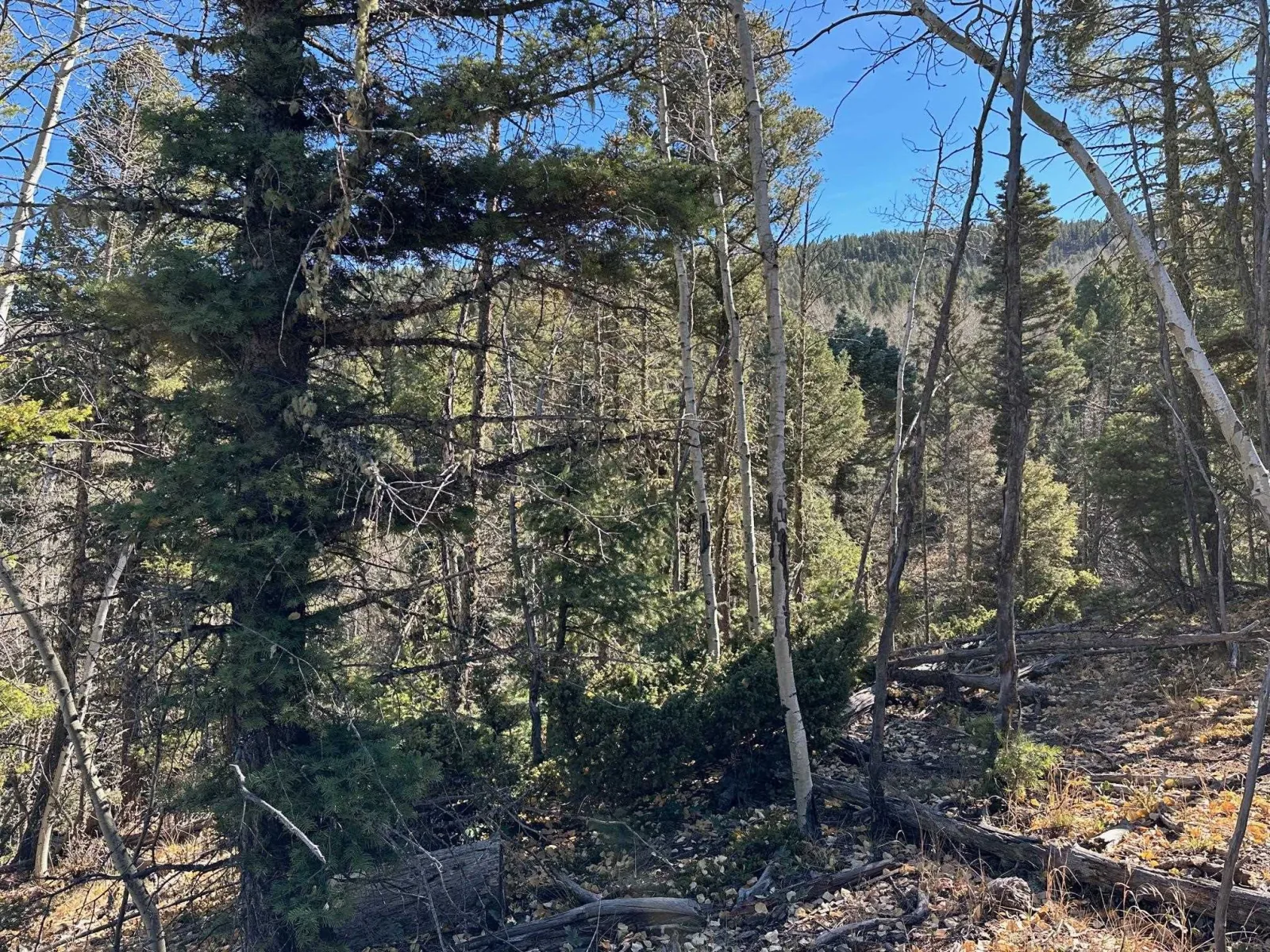 lot 261 Vista del Valle