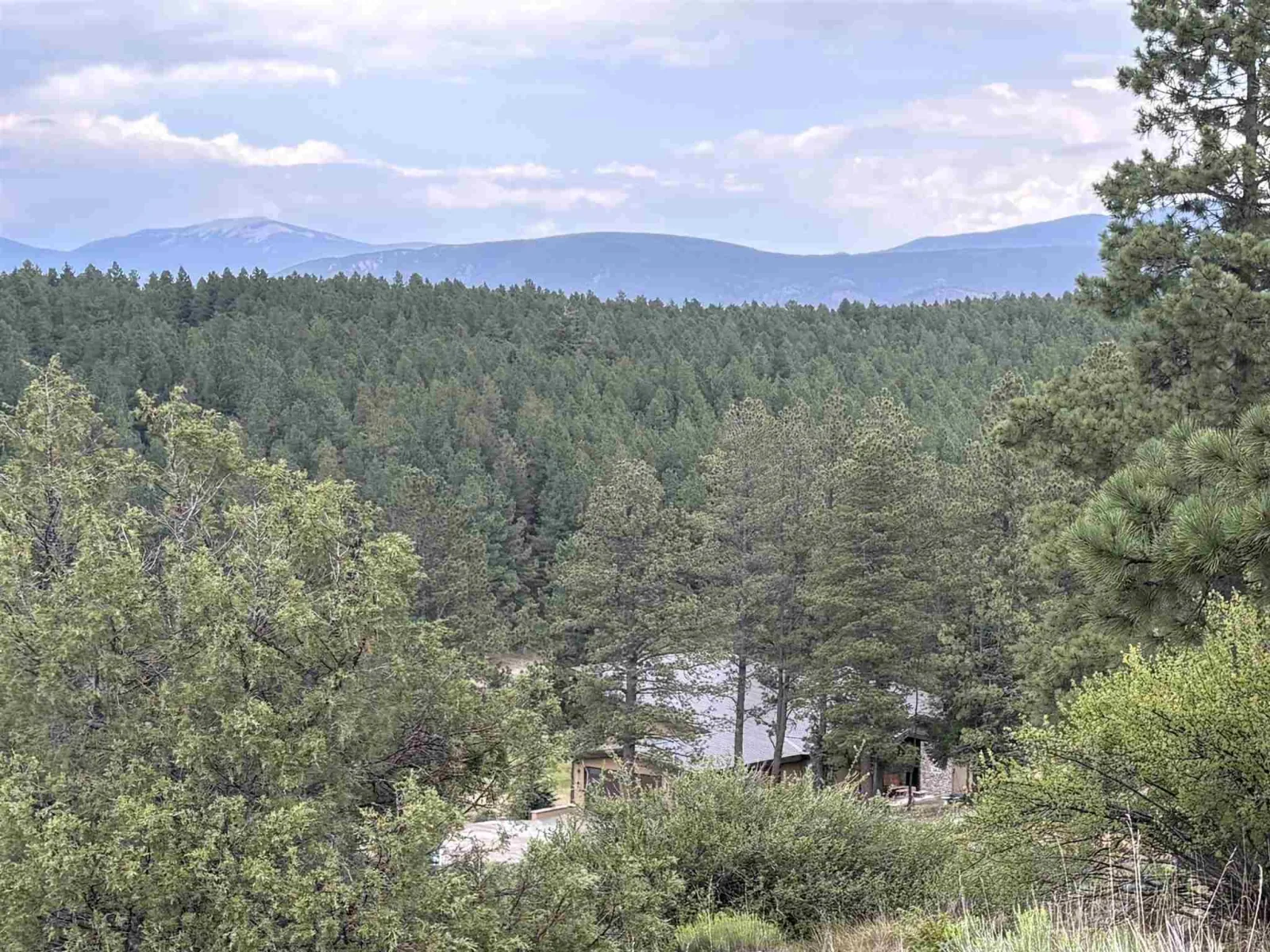 Lot 1292 San Mateo Drive