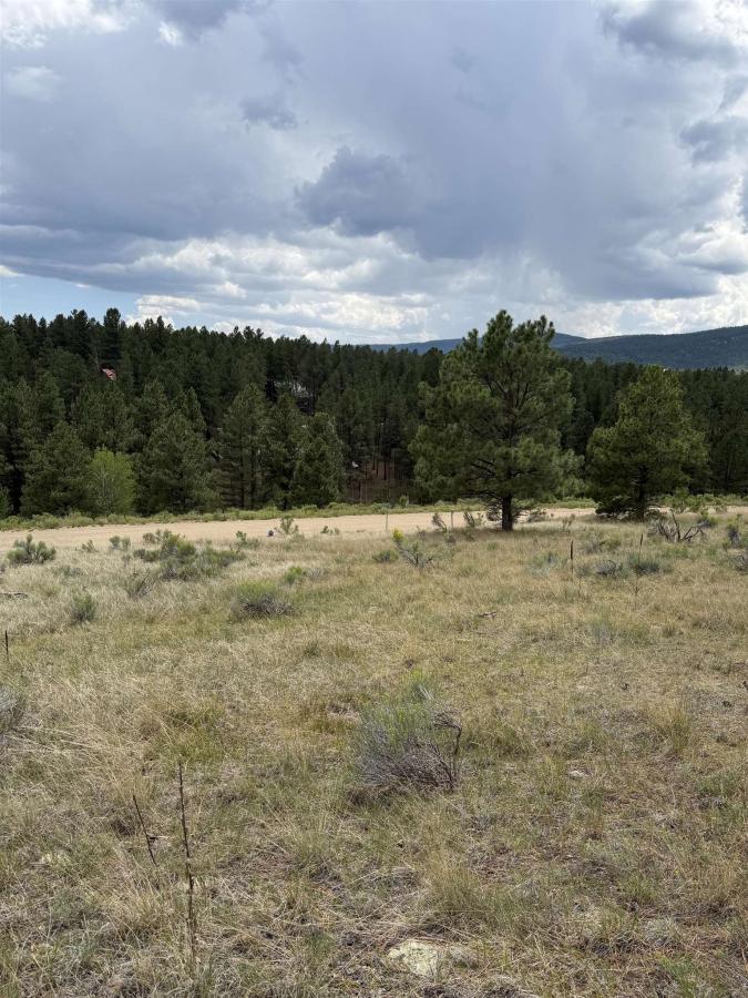 MLS #115418 image #0