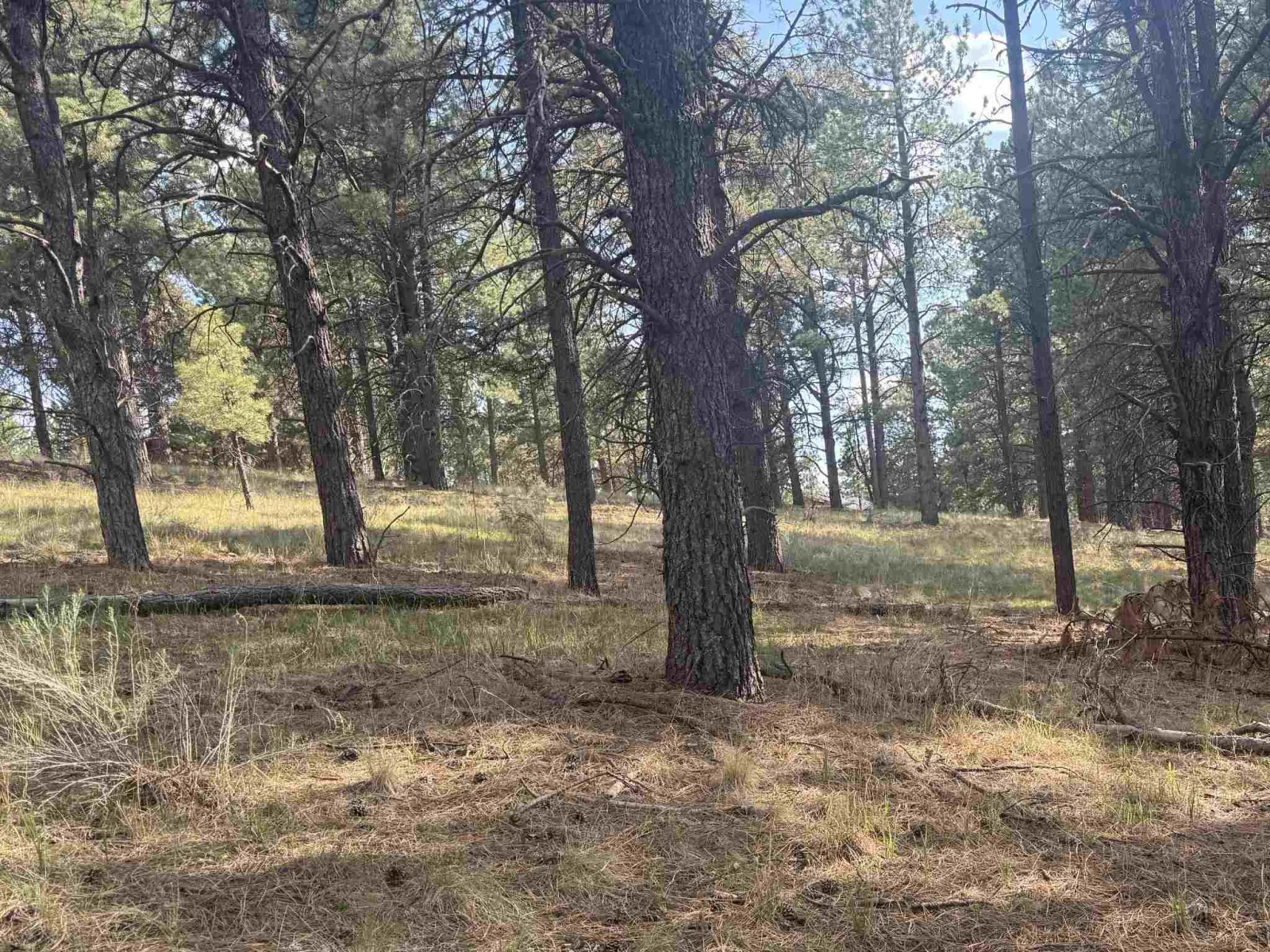 Lot 60 Valley Rd
