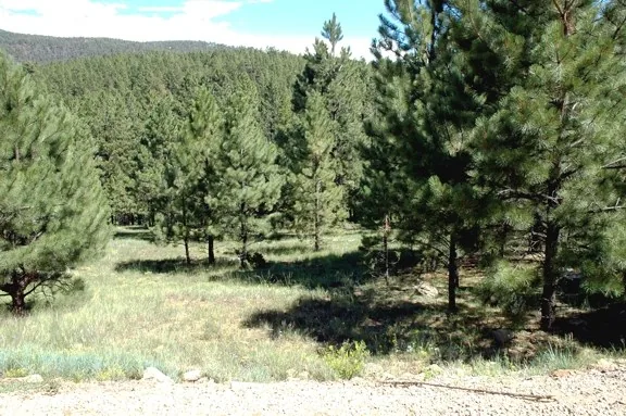 Lot 1032 Woodlands Dr