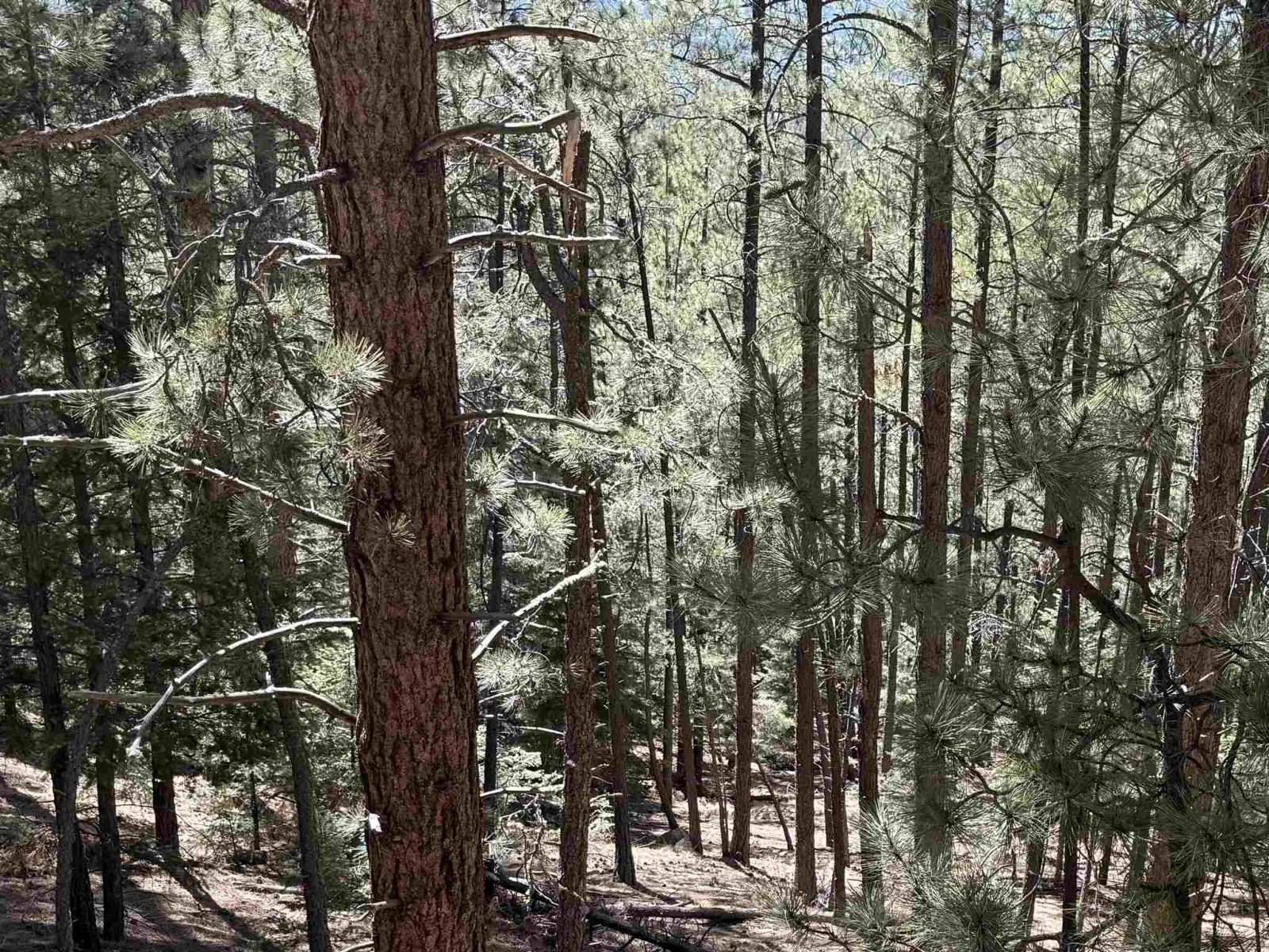 Lot 10 Snowmass Rd