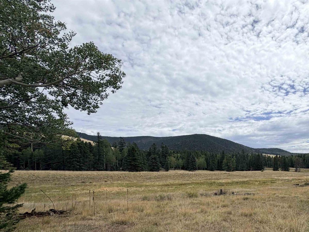 Lot 192 Meadow Glenn