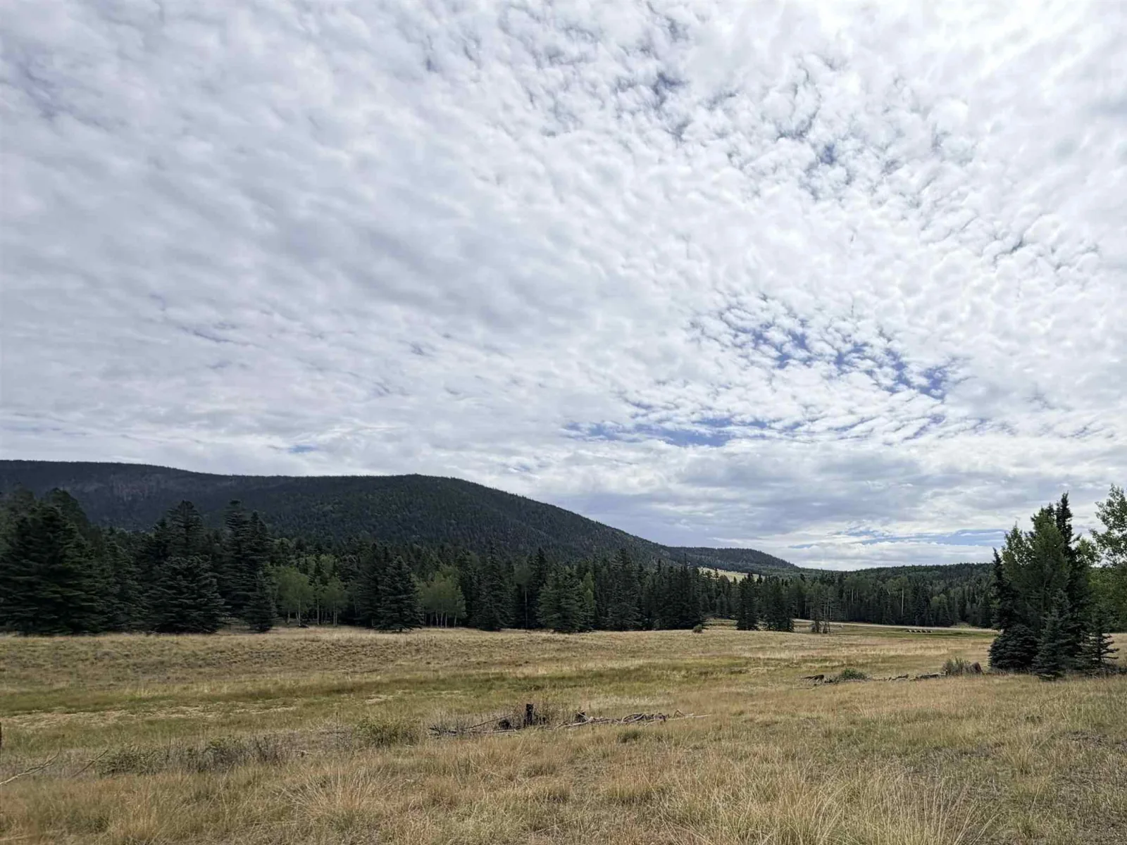 Lot 192 Meadow Glenn