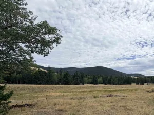 Lot 192 Meadow Glenn