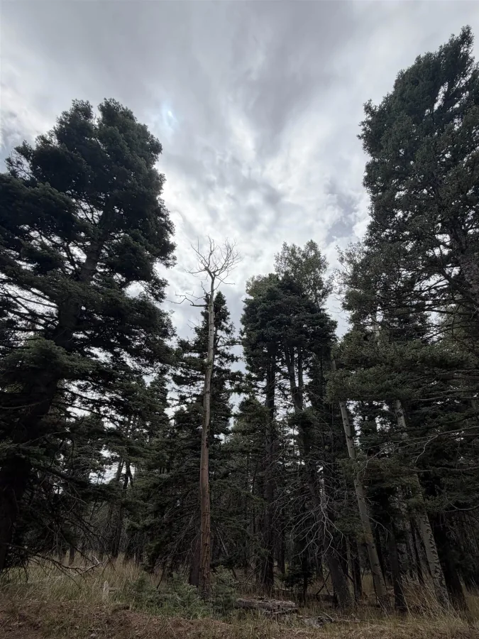 lot 1315 Pleasant Valley Overlook