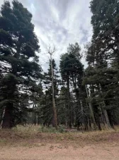 lot 1315 Pleasant Valley Overlook