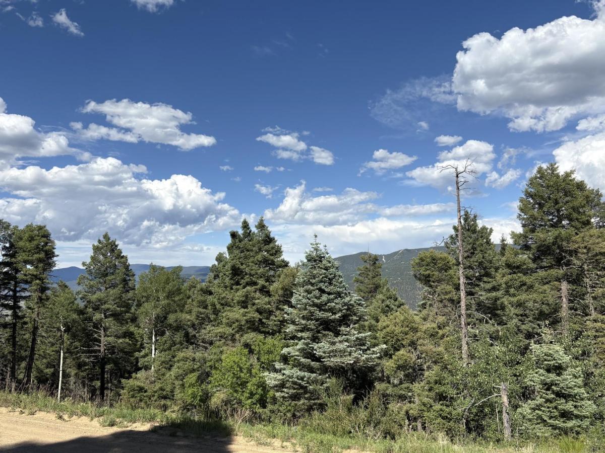 MLS #115659 image #0