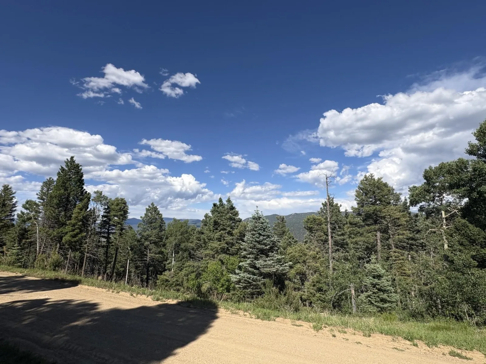 Lot 103 Zia Rd