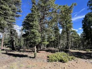 MLS #115690 image #0