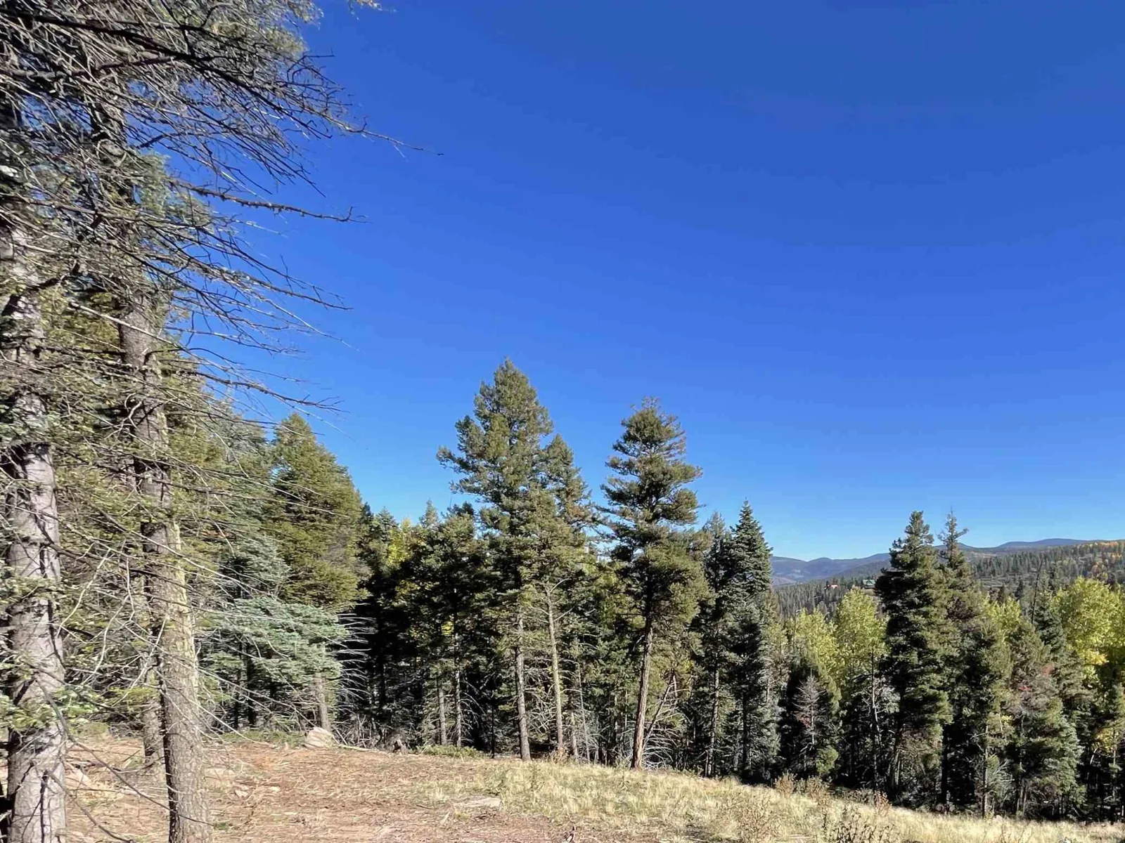 Lot 373 Vail Loop